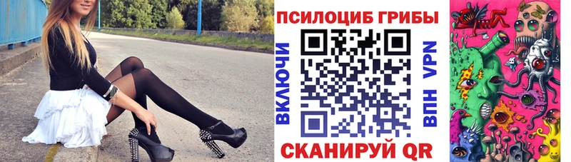 Псилоцибиновые грибы прущие грибы  Фёдоровский 